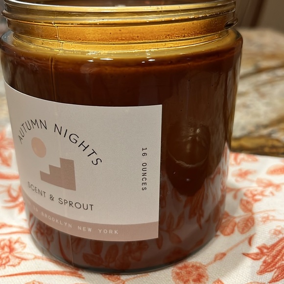 NWT Scent & Sprout 16oz Soy Candle with satchel. - Picture 4 of 7